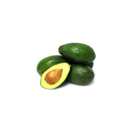 Aguacate Bacon BIO ,precio por kg