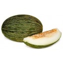 Melon piel de sapo BIO,precio por kg
