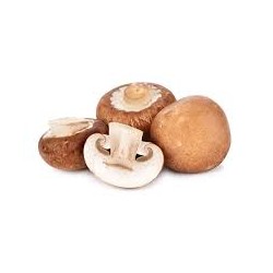 Champiñon Portobello BIO