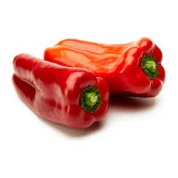 Pimiento lamuyo rojo (para asar) BIO,precio por 100 gramos