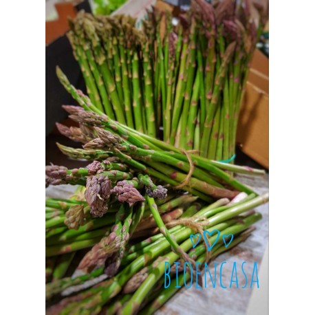 Espárragos BIO, manojo de 250 grs. -aproximadamente-