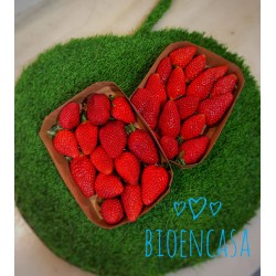 Fresa silvestre BIO tarrina 500 grs