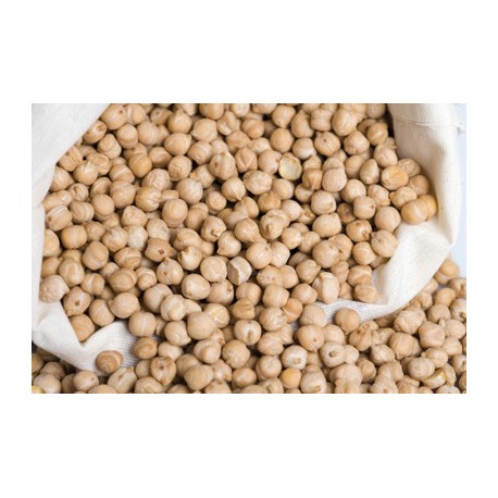 Garbanzo pedrosillano