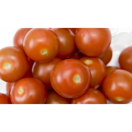 Tomate cherry redondo BIO (Granada) el Kg