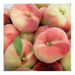 Paraguayo BIO,precio por 100 gramos