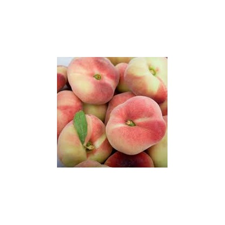 Paraguayo BIO,precio por 100 gramos