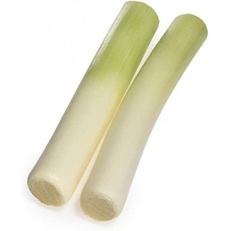 Puerro BIO (Granada) el Kg