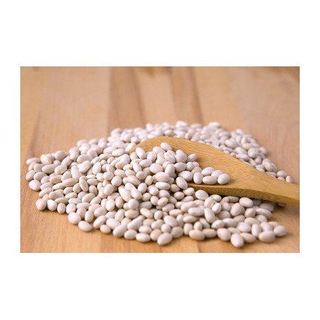 Alubia blanca BIO,1 kg Rincon del segura