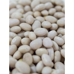 Alubia blanca BIO,1 kg Rincon del segura