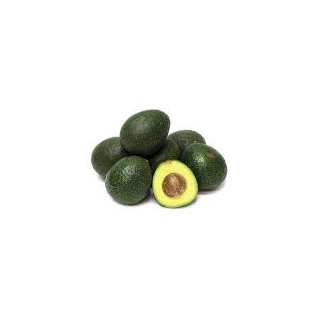 Aguacate hass BIO