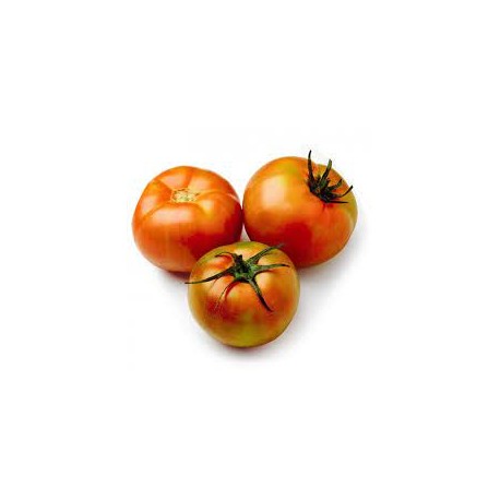 Tomate ensalada BIO,precio por kg