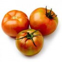 Tomate ensalada BIO,precio por kg