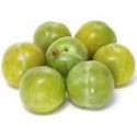 Ciruela claudia larga verde BIO ,precio 100 gramos