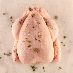 Pavo entero ECO, precio 100 grs. Unidad de 6.5 kg. aprox. - POR ENCARGO -