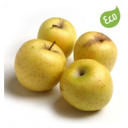 Manzana golden BIO (Navarra) el Kg