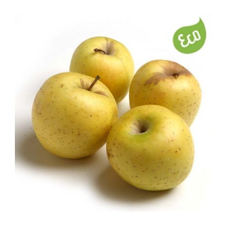 Manzana golden BIO (Navarra) el Kg