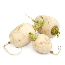 Nabo blanco BIO (Granada) el Kg
