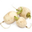 Nabo blanco BIO (Granada) el Kg