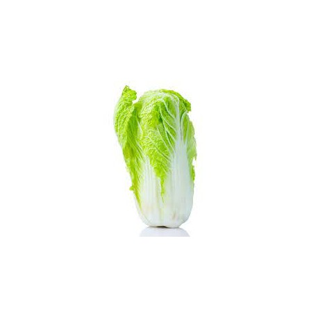 Col china BIO, precio unidad de 300-400 grs. aprox.