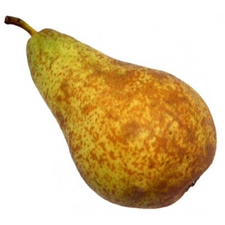 Pera conferencia BIO