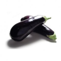 Berenjena negra BIO el Kg