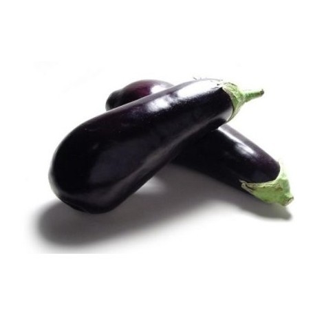 Berenjena negra BIO el Kg