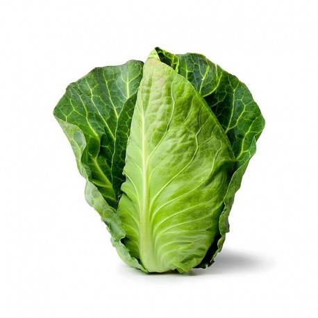 Col picuda BIO (Granada) unidad 600gr-900gr