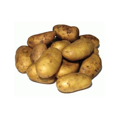 Patata nueva BIO (Málaga) el Kg