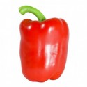 Pimiento california rojo BIO (Málaga) el Kg