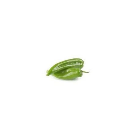 Pimiento verde italiano BIO (Málaga) el Kg