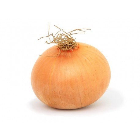 Cebolla semiseca BIO (Granada) el Kg