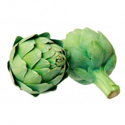 Alcachofa BIO (Granada) el Kg