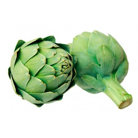 Alcachofa BIO (Granada) el Kg