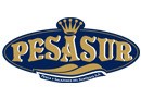Pesasur